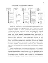 Laisvosios ekonominės zonos ir jų steigimo Lietuvoje praktika 14 puslapis