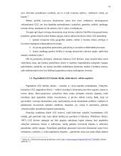 Laisvosios ekonominės zonos ir jų steigimo Lietuvoje praktika 16 puslapis