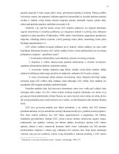 Laisvosios ekonominės zonos ir jų steigimo Lietuvoje praktika 17 puslapis