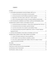 Laisvosios ekonominės zonos ir jų steigimo Lietuvoje praktika 3 puslapis