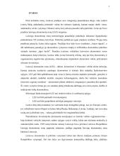 Laisvosios ekonominės zonos ir jų steigimo Lietuvoje praktika 7 puslapis