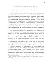 Laisvosios ekonominės zonos ir jų steigimo Lietuvoje praktika 9 puslapis