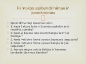 Baltijos šalių ir Suomijos bendrystė 14 puslapis