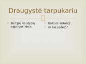 Baltijos šalių ir Suomijos bendrystė 8 puslapis