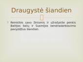 Baltijos šalių ir Suomijos bendrystė 9 puslapis