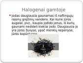 Nemetalų apžvalga 11 puslapis