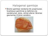 Nemetalų apžvalga 12 puslapis