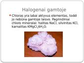 Nemetalų apžvalga 6 puslapis