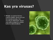 Virusas ir virusinės ligos 2 puslapis