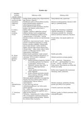 Lietuvių literatūros pamokos 10 klasės išplėstinis planas – konspektas 2 puslapis