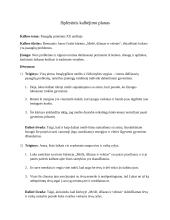 Paauglių problemos XX amžiuje (Remiantis Juozo Grušo kūriniu „Meilė, džiazas ir velnias“) 3 puslapis