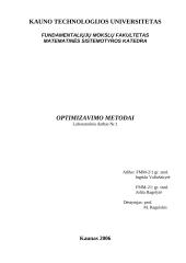 Optimizavimo metodai