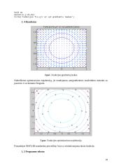 Optimizavimo metodai 11 puslapis