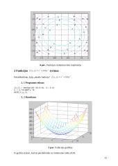 Optimizavimo metodai 13 puslapis