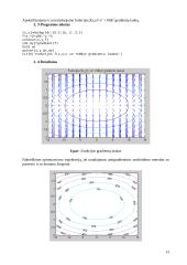 Optimizavimo metodai 14 puslapis