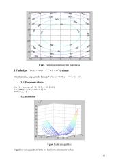 Optimizavimo metodai 16 puslapis