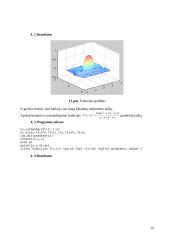 Optimizavimo metodai 20 puslapis