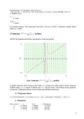 Optimizavimo metodai 3 puslapis