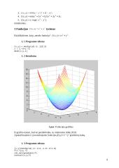 Optimizavimo metodai 10 puslapis