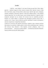 Laidojimo papročiai Lietuvoje ir pasaulyje 2 puslapis