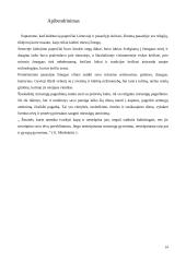 Laidojimo papročiai Lietuvoje ir pasaulyje 14 puslapis