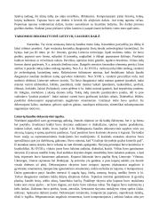 Lietuvių liaudies meno simboliai 11 puslapis