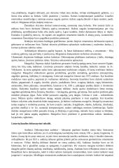 Lietuvių liaudies meno simboliai 12 puslapis