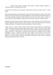 Lietuvių liaudies meno simboliai 14 puslapis