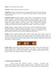 Lietuvių liaudies meno simboliai 4 puslapis