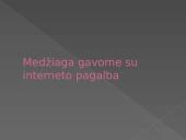 Kalba kaip pasaulio pažinimo būdas 2 puslapis