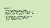 Žemės raida iki gyvybės atsiradimo  2 puslapis