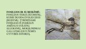 Žemės raida iki gyvybės atsiradimo  9 puslapis
