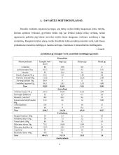 Mitybos plano parengimas 2 puslapis