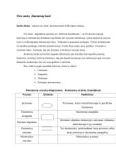 Oro uosto duomenų bazė 3 puslapis