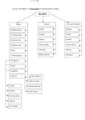 Oro uosto duomenų bazė 5 puslapis