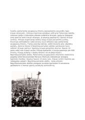 Sausio 13 įvykiai 2 puslapis