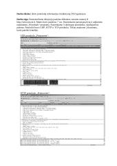 OSI lygmenų tyrimas 2 puslapis