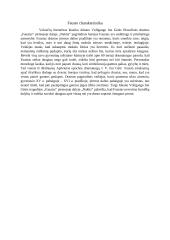 Fausto charakteristika "Fausto" pirmojoje dalyje ,,Naktis" 