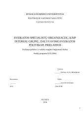 Sveikatos specialistų organizacijų, kaip interesų grupių, dalyvavimo sveikatos politikoje prielaidos 2 puslapis