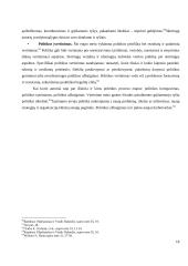 Sveikatos specialistų organizacijų, kaip interesų grupių, dalyvavimo sveikatos politikoje prielaidos 18 puslapis