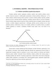 Sveikatos specialistų organizacijų, kaip interesų grupių, dalyvavimo sveikatos politikoje prielaidos 19 puslapis