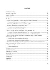 Sveikatos specialistų organizacijų, kaip interesų grupių, dalyvavimo sveikatos politikoje prielaidos 3 puslapis