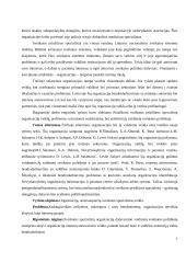 Sveikatos specialistų organizacijų, kaip interesų grupių, dalyvavimo sveikatos politikoje prielaidos 7 puslapis
