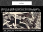 Lietuvos partizanų buitis 3 puslapis