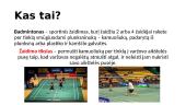 Badmintono sportas 3 puslapis