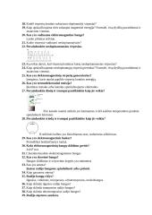 Elektromagnetiniai virpesiai ir bangos 2 puslapis