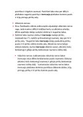 Viršutinės galūnės nervai 2 puslapis