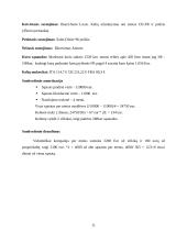 UAB „Finėjas“ transporto infrastruktūros analizė 10 puslapis