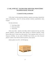 UAB „Finėjas“ transporto infrastruktūros analizė 12 puslapis