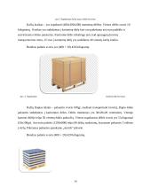 UAB „Finėjas“ transporto infrastruktūros analizė 13 puslapis